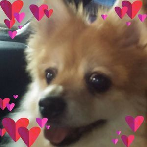 Meet your Posher, Mike